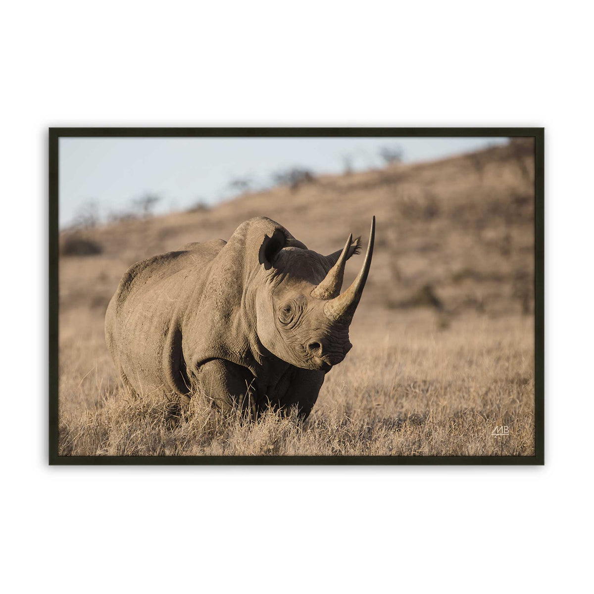 [Color:Satin Black], Picture of art in a Satin Black frame