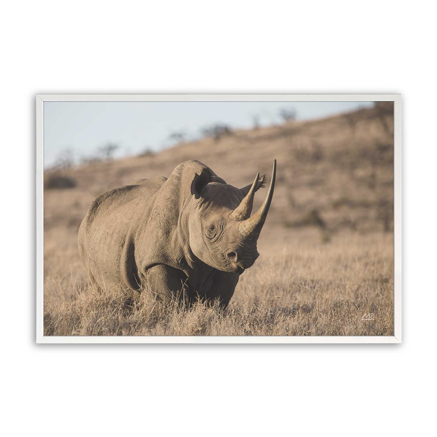 [Color:Opaque White], Picture of art in a Opaque White frame