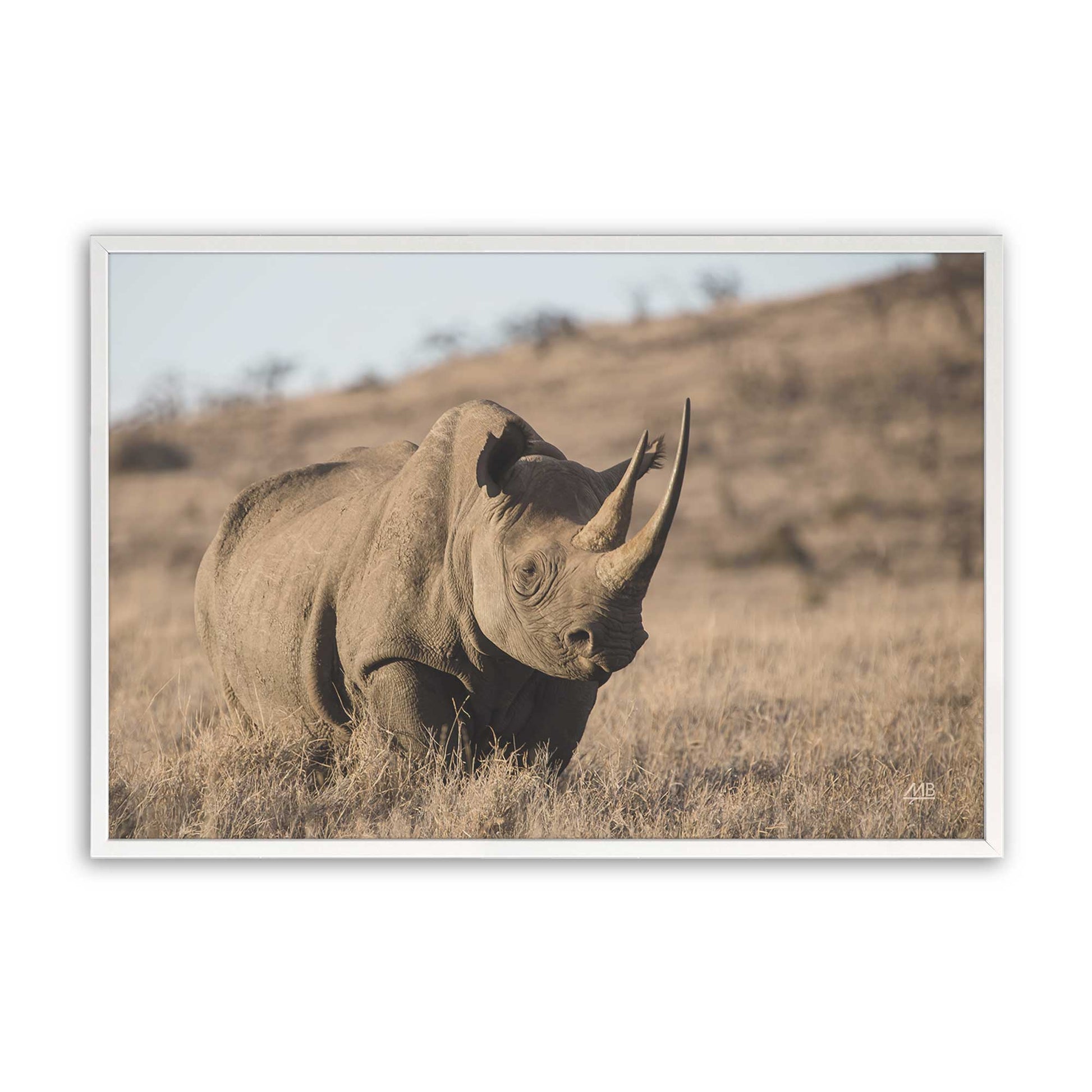 [Color:Opaque White], Picture of art in a Opaque White frame