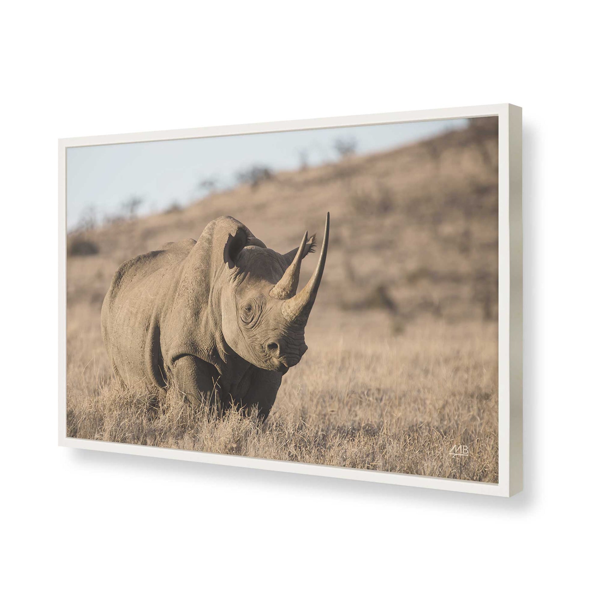 [Color:Opaque White], Picture of art in a Opaque White frame of the corner