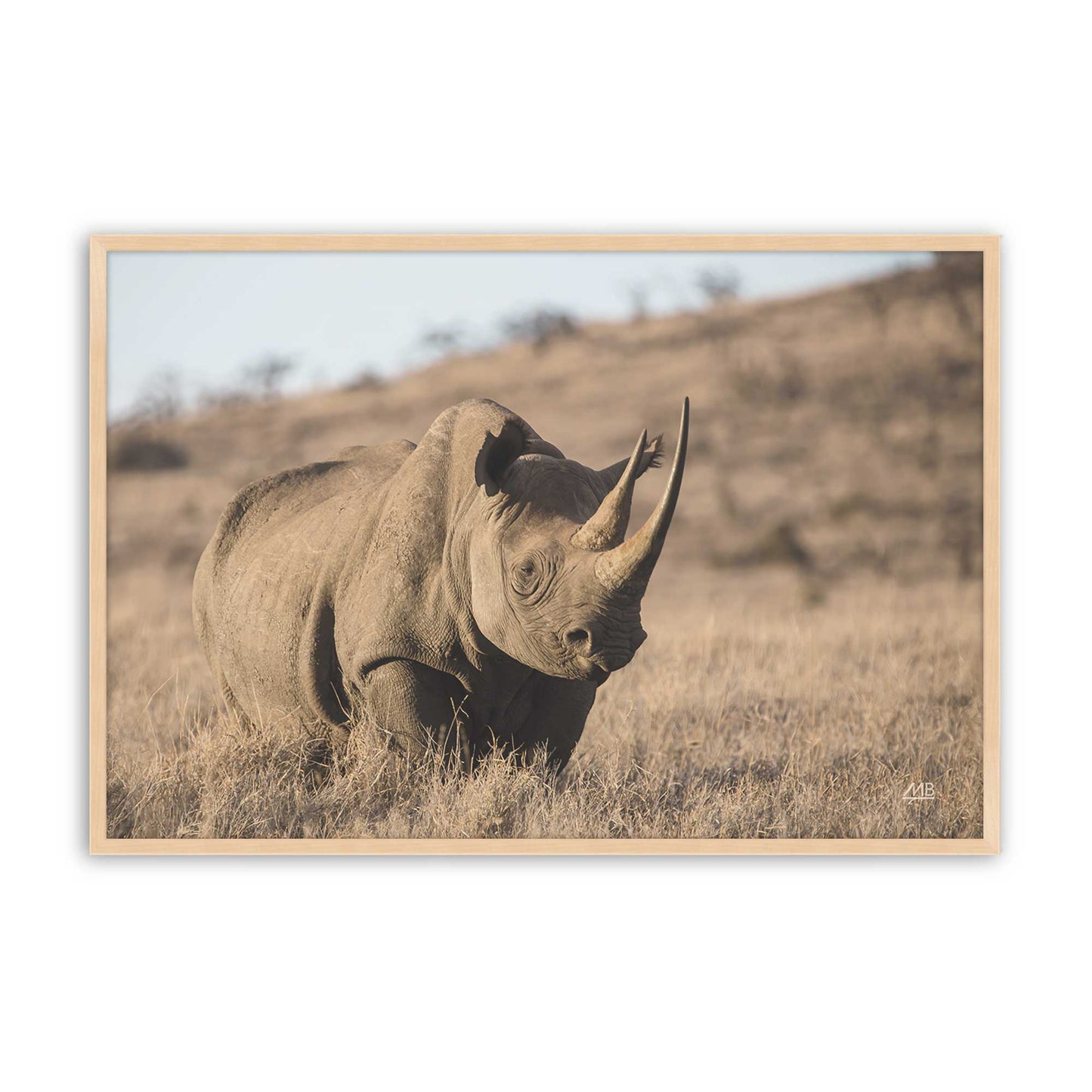 [Color:Raw Maple], Picture of art in a Raw Maple frame