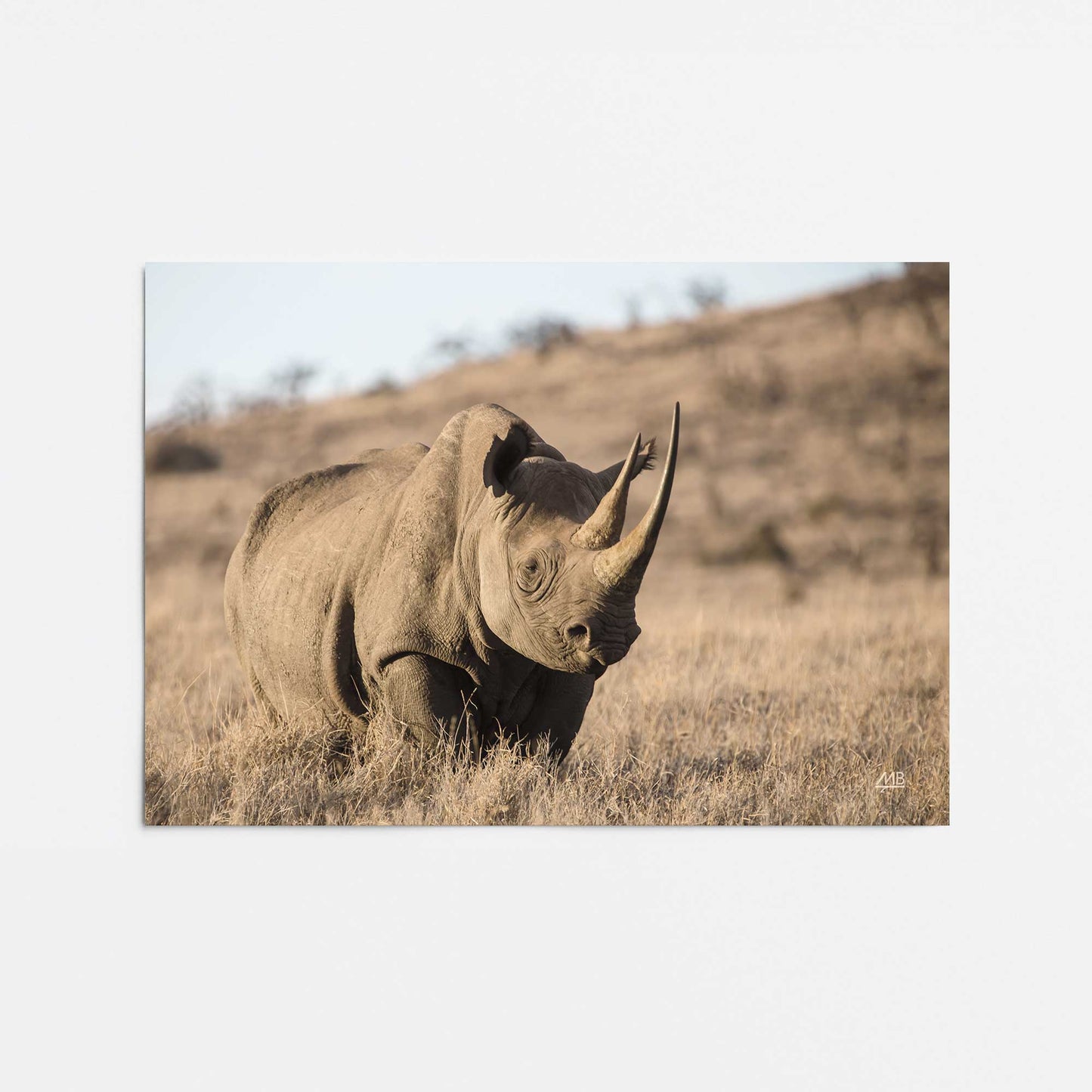 [Color:Rolled Print], Picture of close up of art