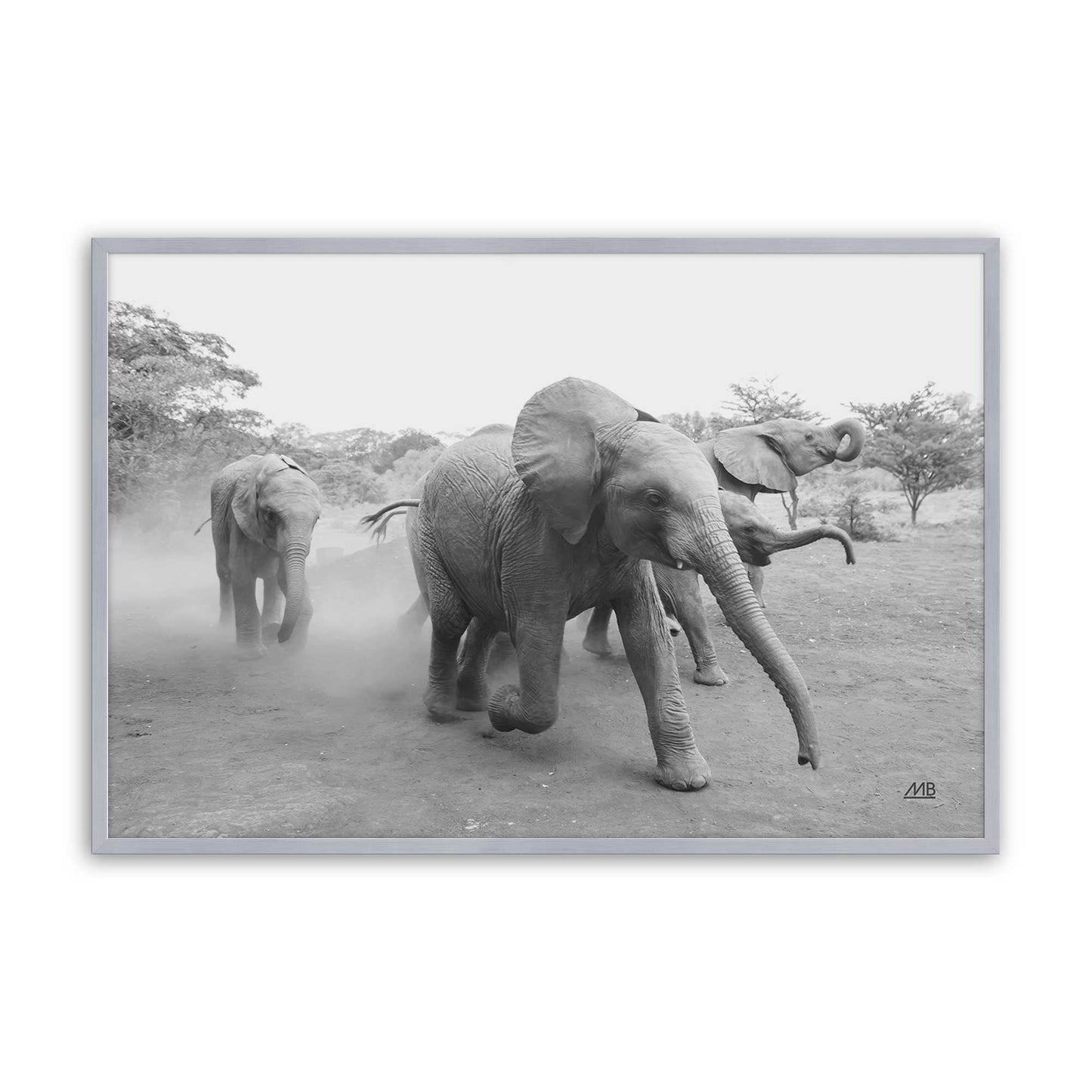 [Color:Polished Chrome], Picture of art in a Polished Chrome frame