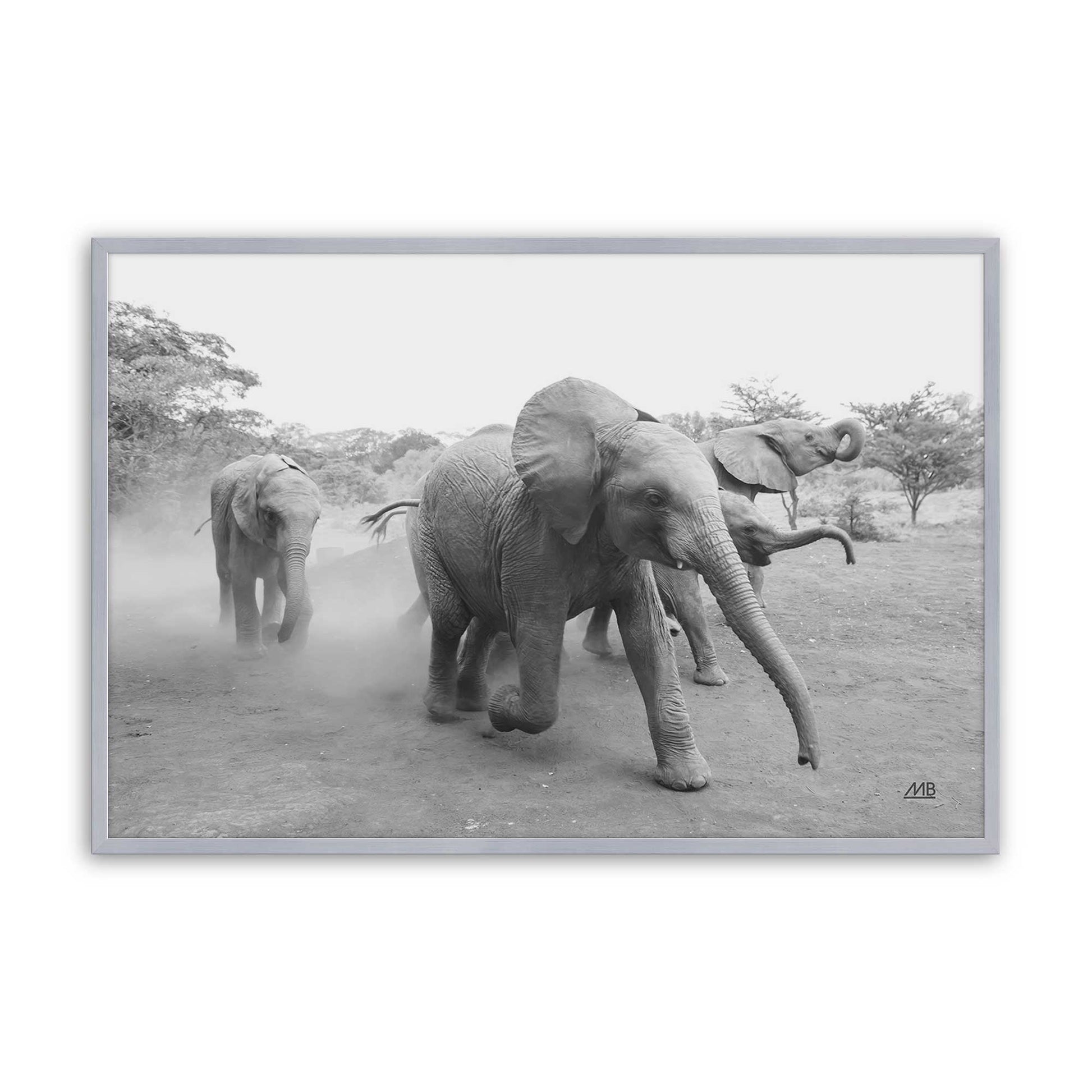 [Color:Polished Chrome], Picture of art in a Polished Chrome frame