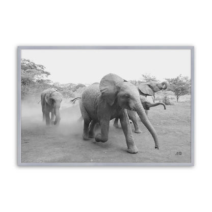 [Color:Polished Chrome], Picture of art in a Polished Chrome frame