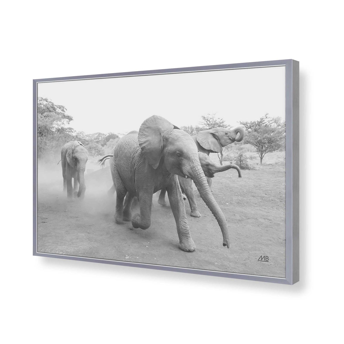 [Color:Polished Chrome], Picture of art in a Polished Chrome frame of the corner