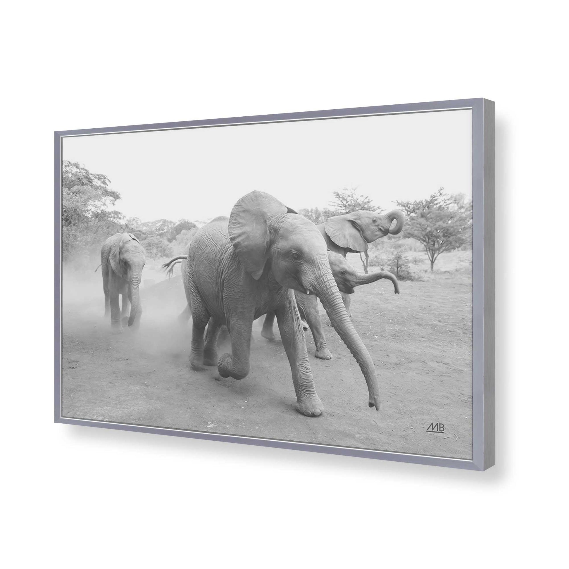 [Color:Polished Chrome], Picture of art in a Polished Chrome frame of the corner