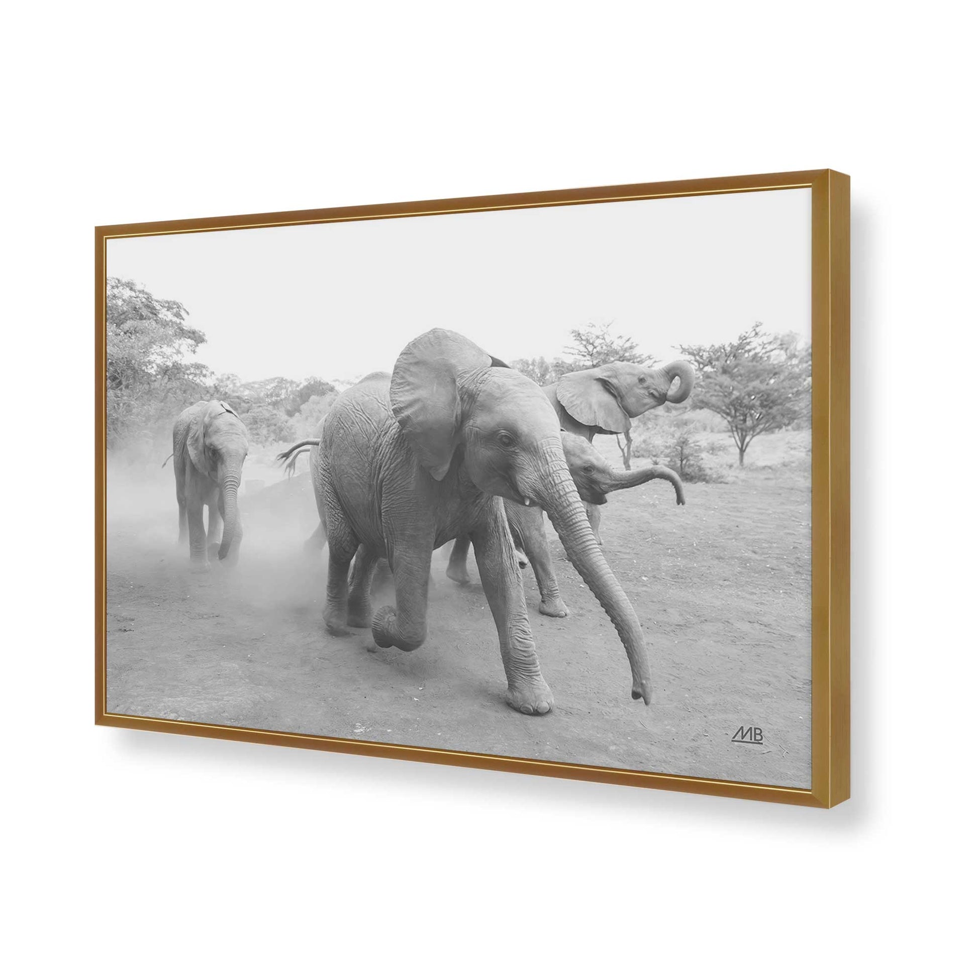 [Color:Polished Gold], Picture of art in a Polished Gold frame of the corner