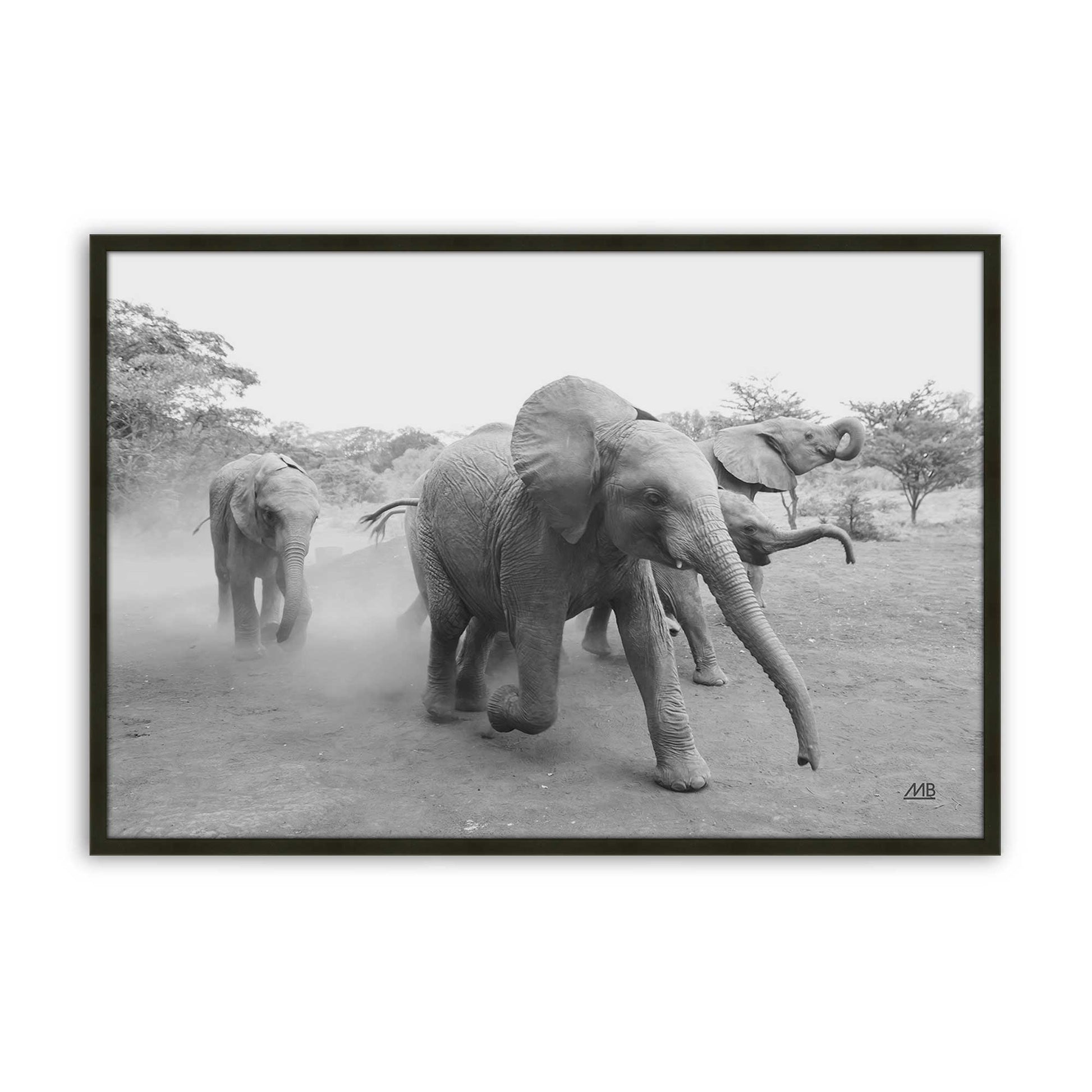 [Color:Satin Black], Picture of art in a Satin Black frame
