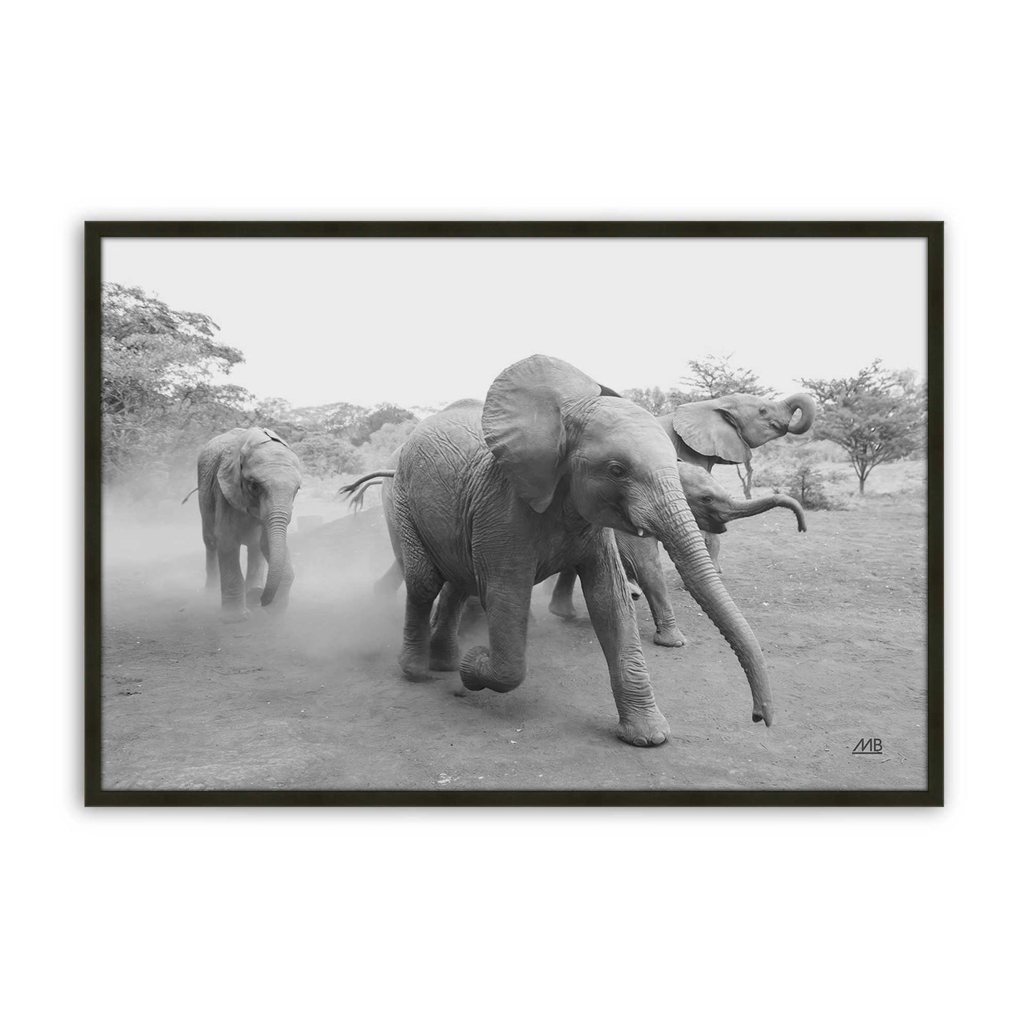 [Color:Satin Black], Front of the art