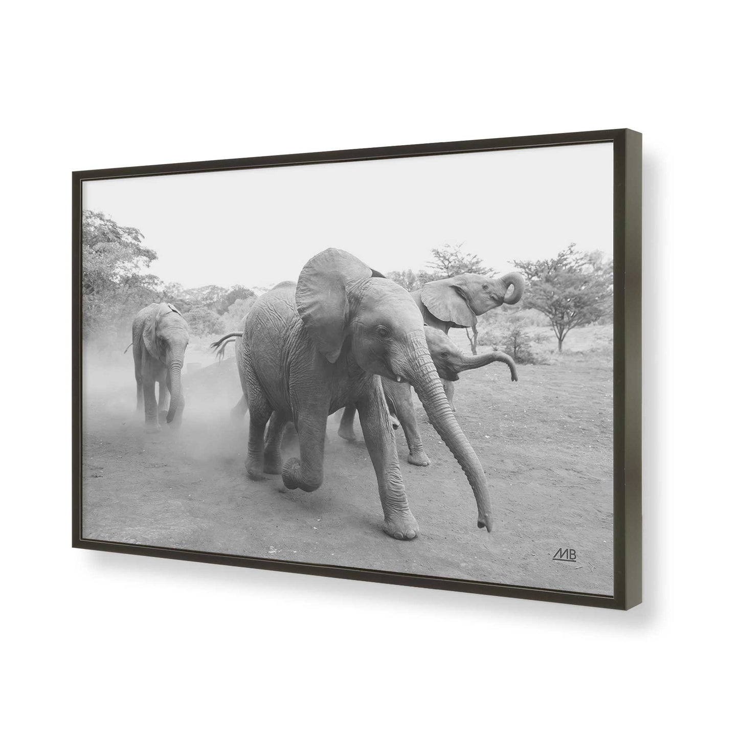 [Color:Satin Black], Picture of art in a Satin Black frame of the corner