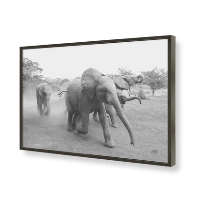 [Color:Satin Black], Picture of art in a Satin Black frame of the corner