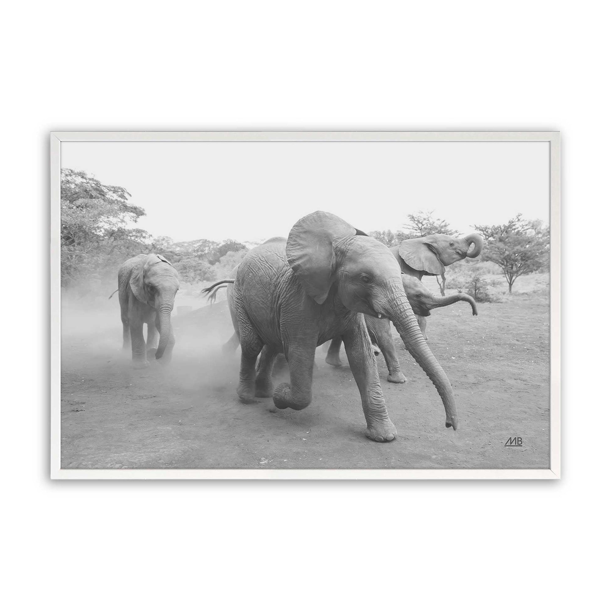 [Color:Opaque White], Picture of art in a Opaque White frame