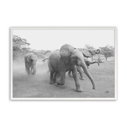 [Color:Opaque White], Picture of art in a Opaque White frame