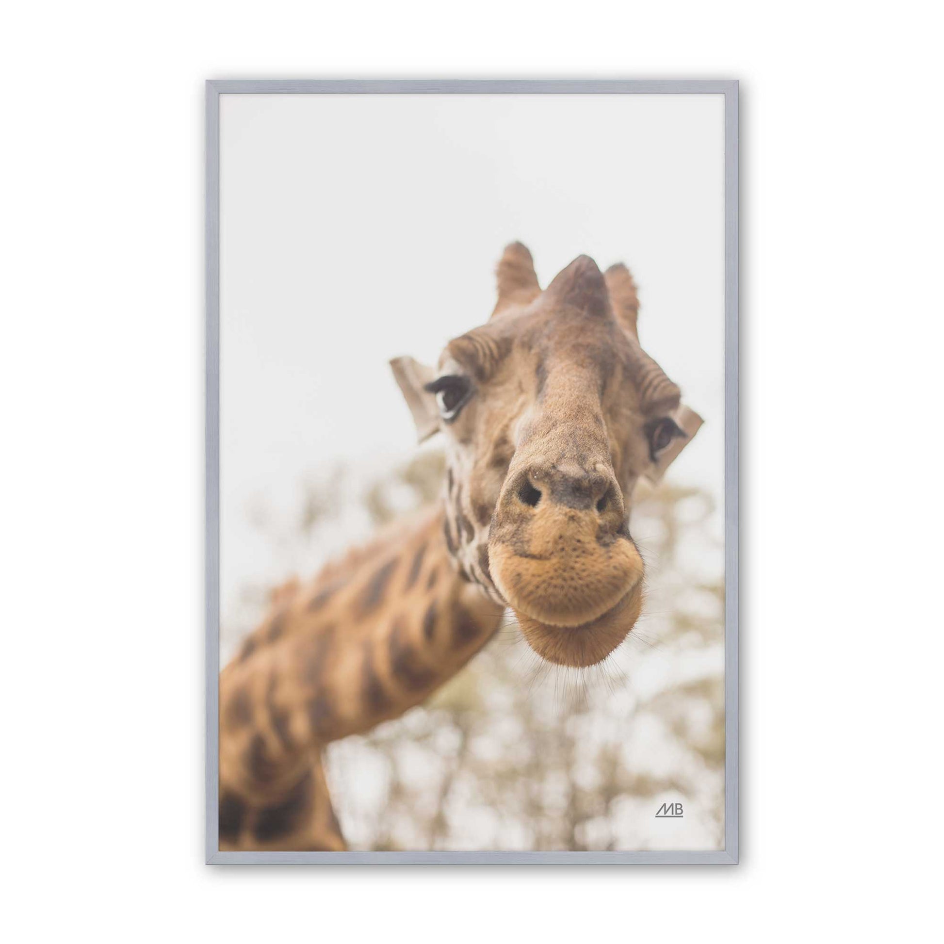 [Color:Polished Chrome], Picture of art in a Polished Chrome frame