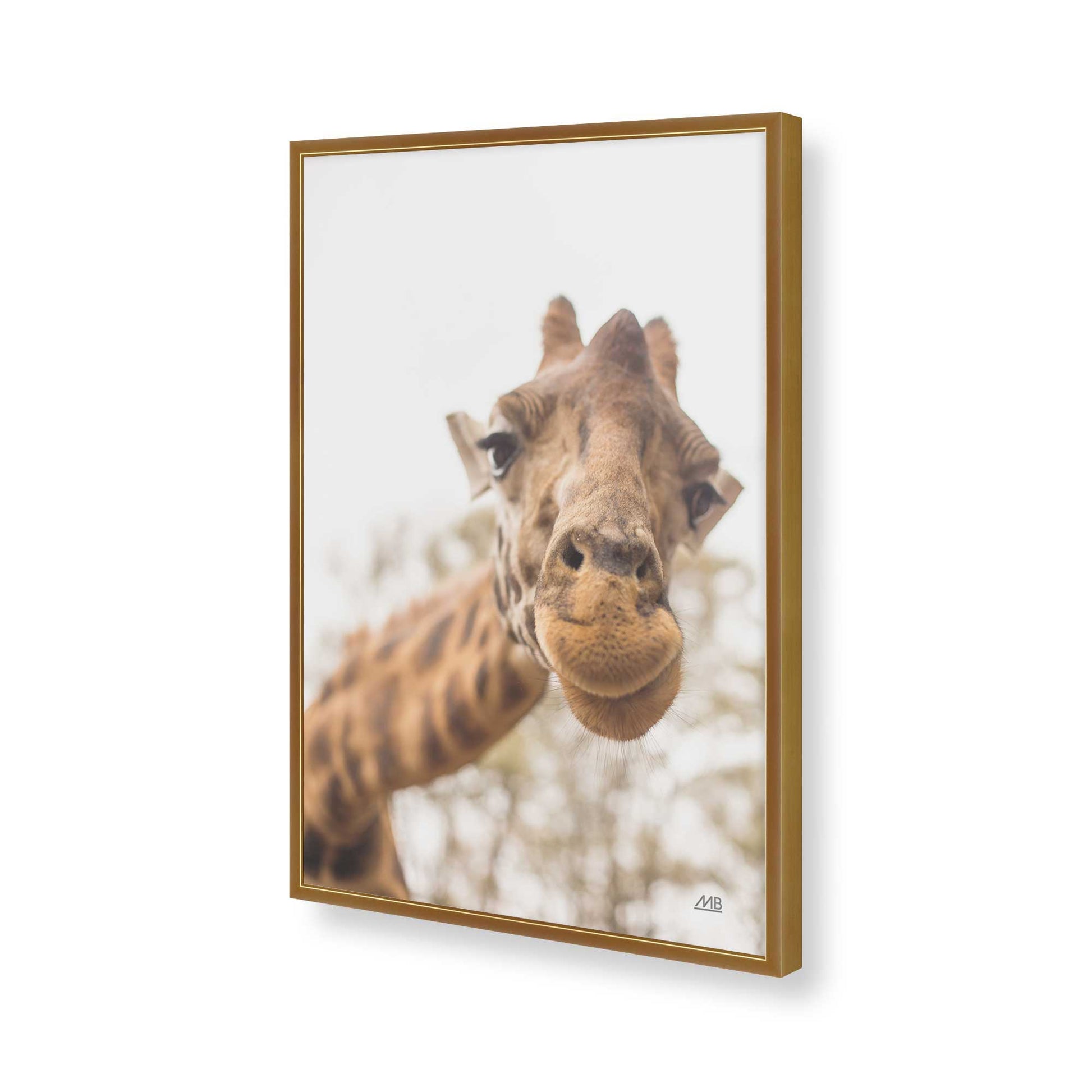 [Color:Polished Gold], Picture of art in a Polished Gold frame of the corner