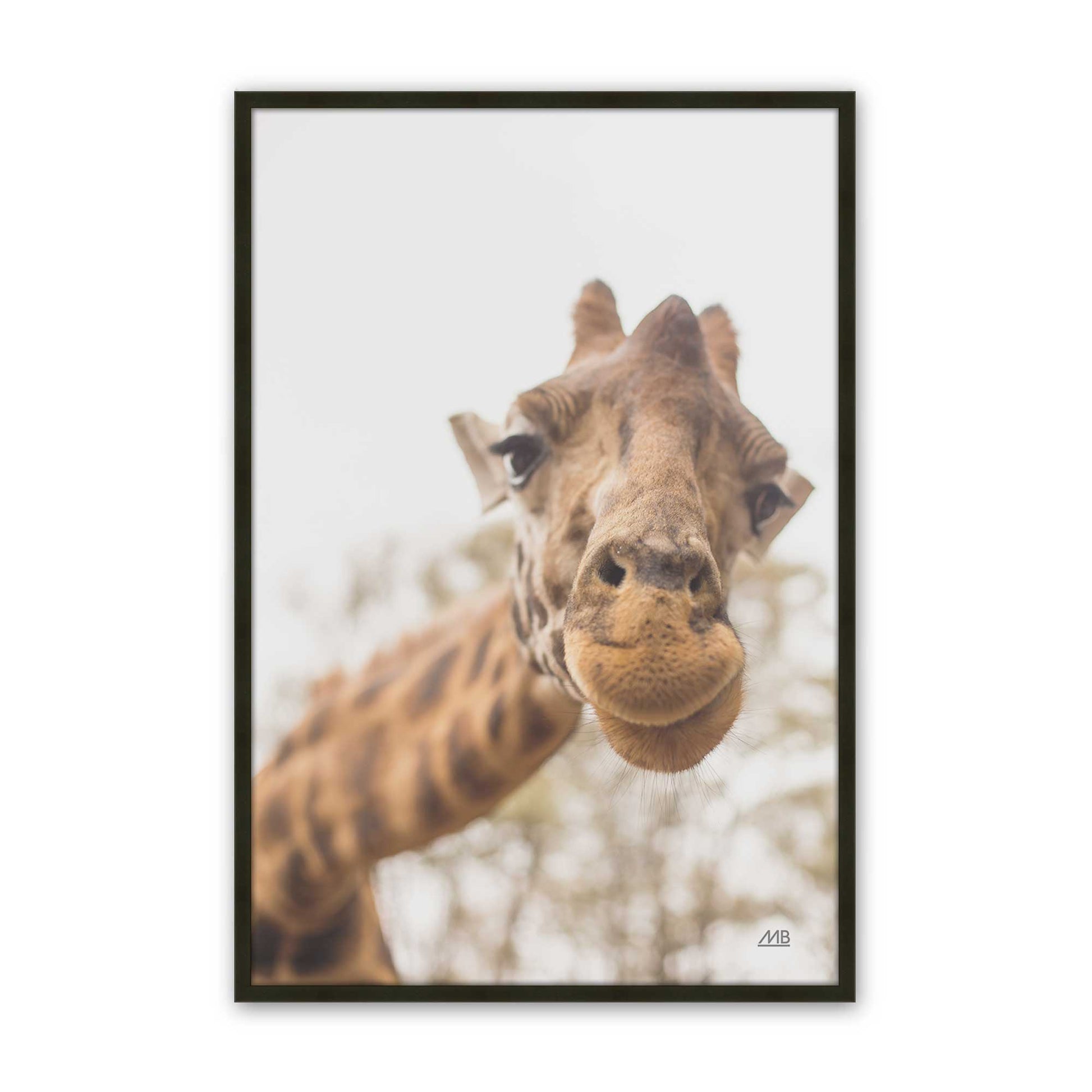 [Color:Satin Black], Picture of art in a Satin Black frame