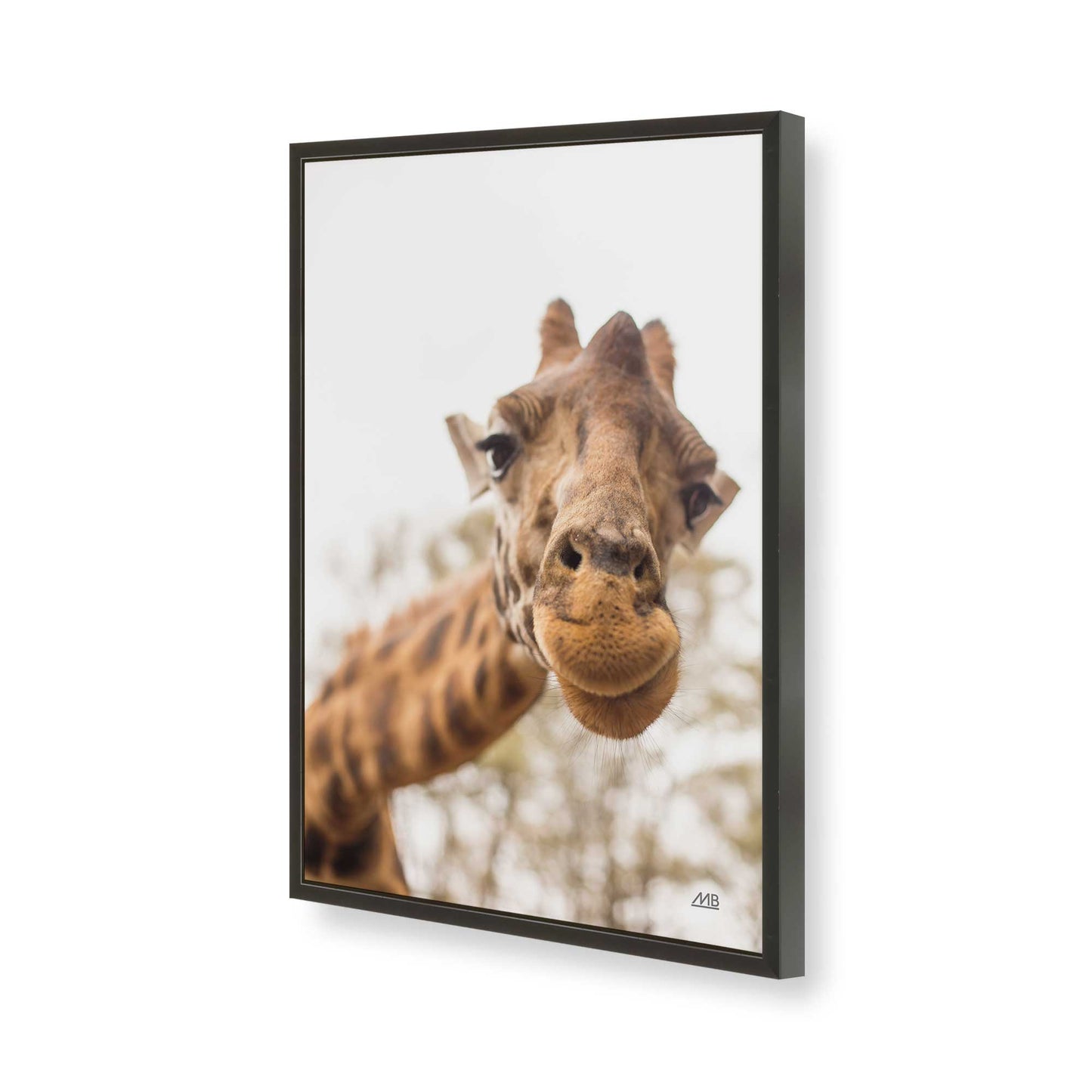 [Color:Satin Black], Picture of art in a Satin Black frame of the corner