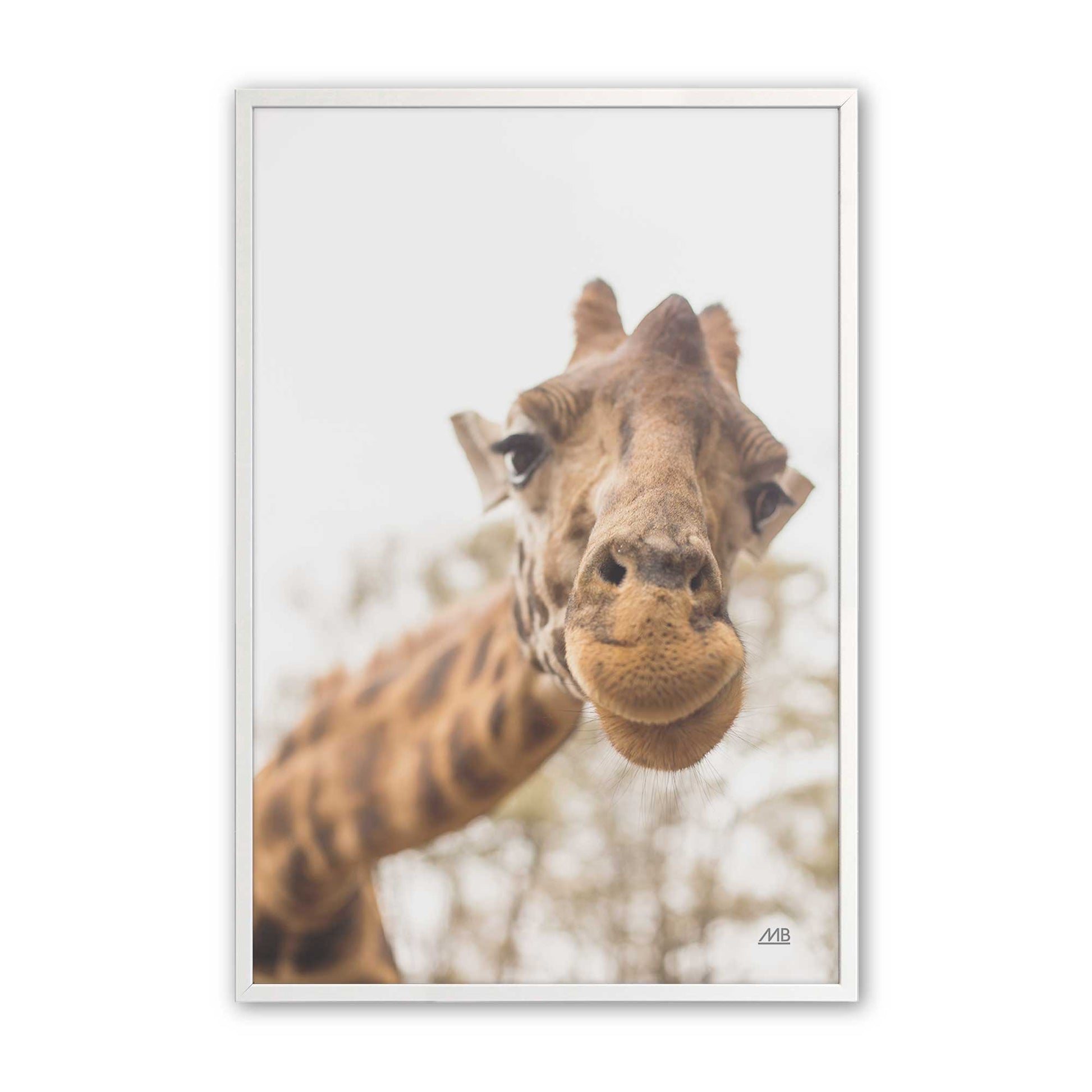 [Color:Opaque White], Picture of art in a Opaque White frame