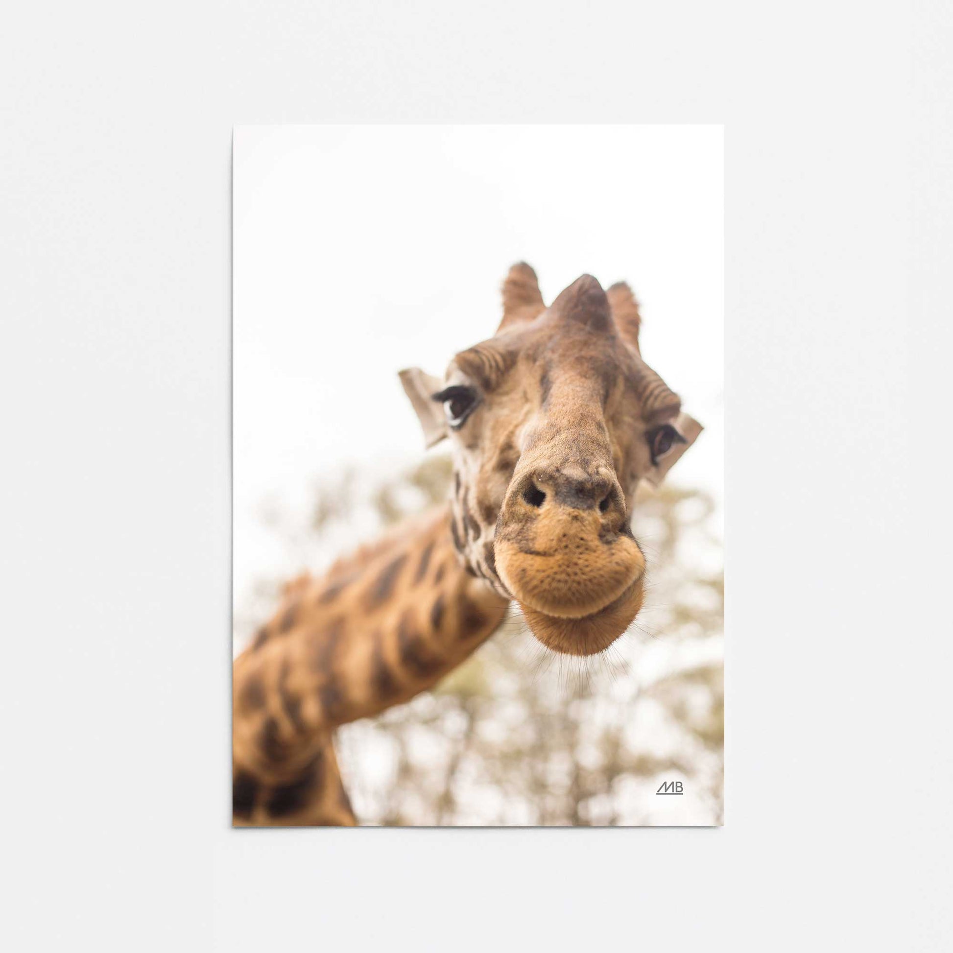 [Color:Rolled Print], Picture of close up of art