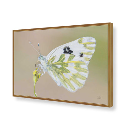 [Color:Polished Gold], Picture of art in a Polished Gold frame of the corner