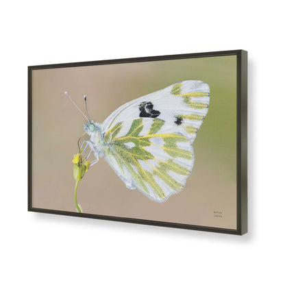 [Color:Satin Black], Picture of art in a Satin Black frame of the corner