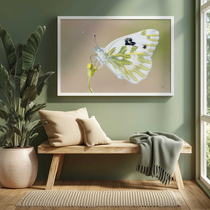 [LIFESTYLE],[SPECIAL], Art in a room