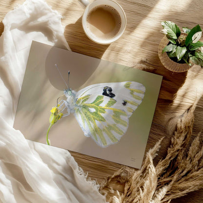[Color:Rolled Print], Picture of close up of art