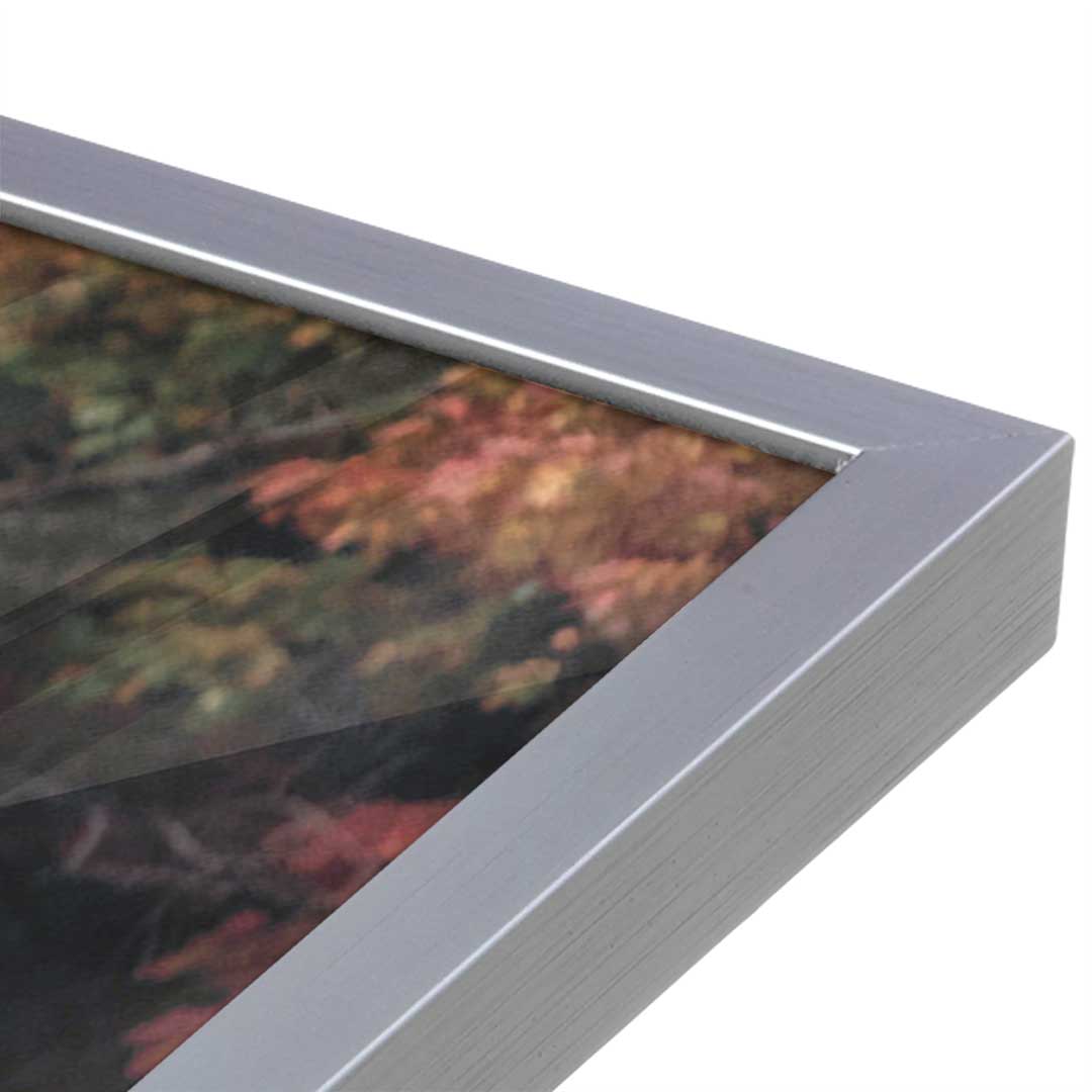 [Color:Polished Chrome], Picture of art in a Polished Chrome frame at an angle