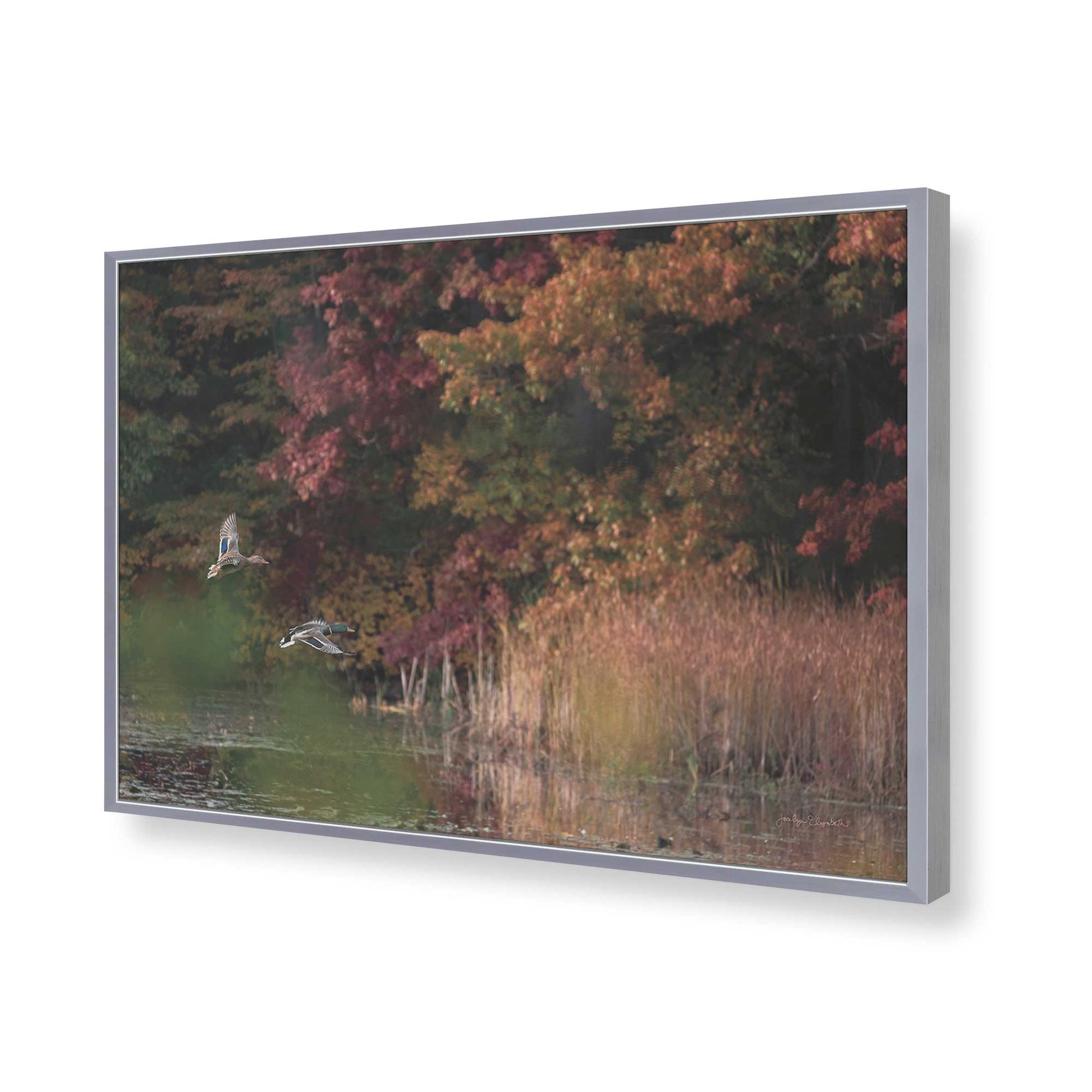 [Color:Polished Chrome], Picture of art in a Polished Chrome frame of the corner