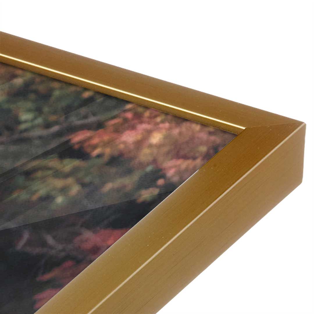 [Color:Polished Gold], Picture of art in a Polished Gold frame at an angle