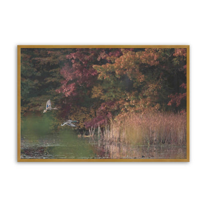 [Color:Polished Gold], Picture of art in a Polished Gold frame