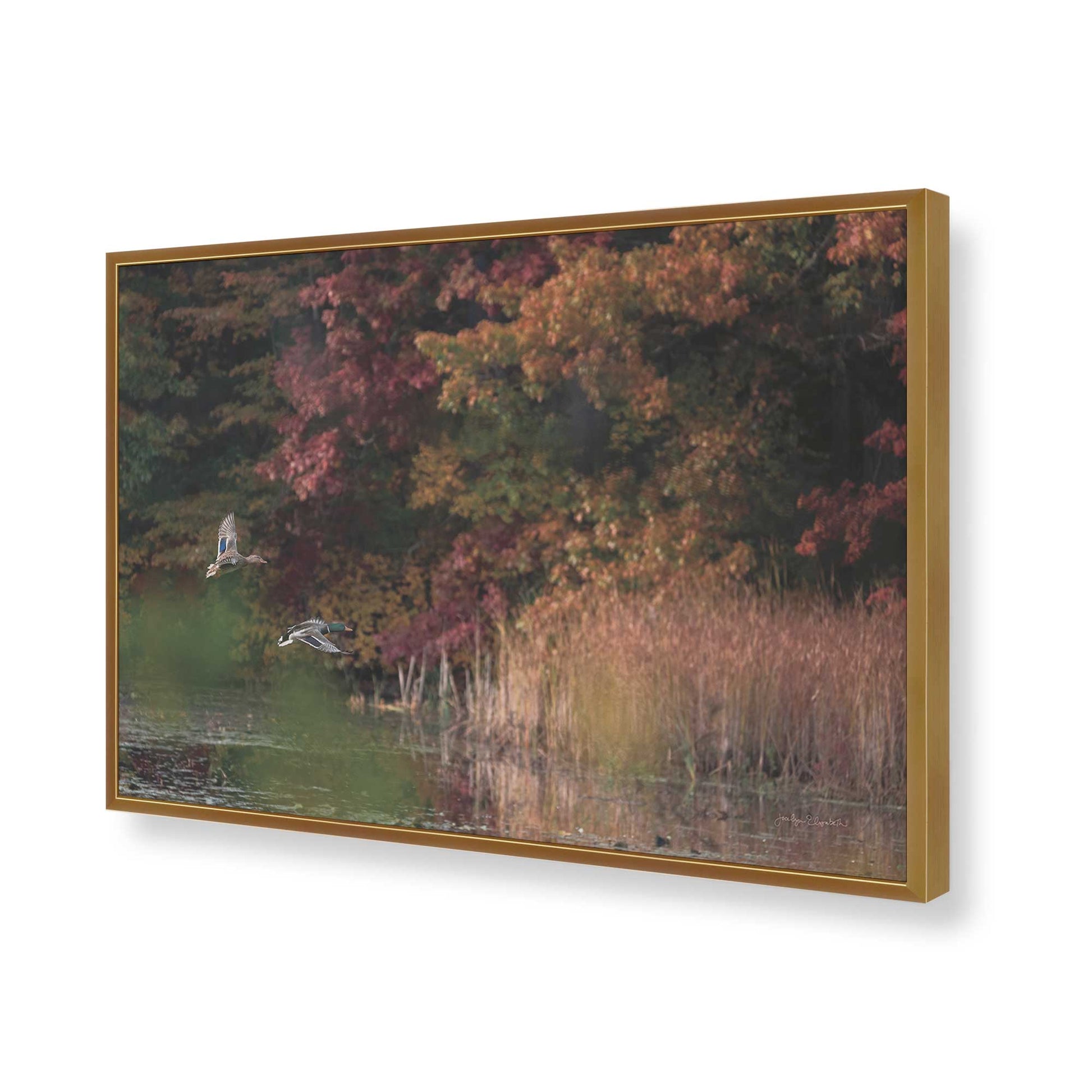 [Color:Polished Gold], Picture of art in a Polished Gold frame of the corner