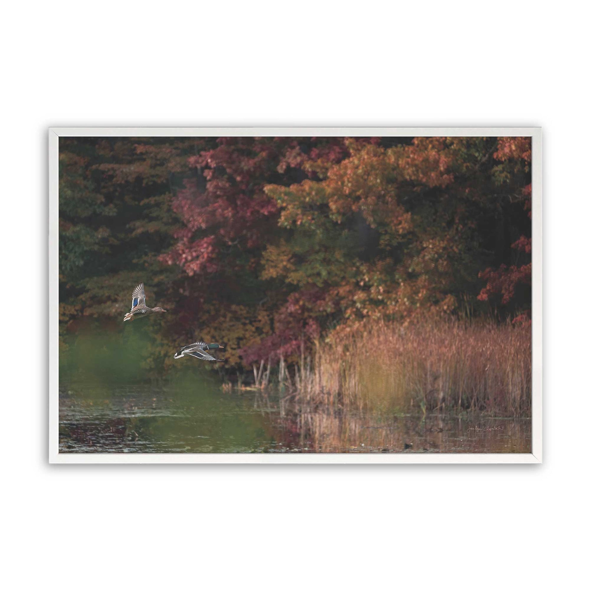 [Color:Opaque White], Picture of art in a Opaque White frame