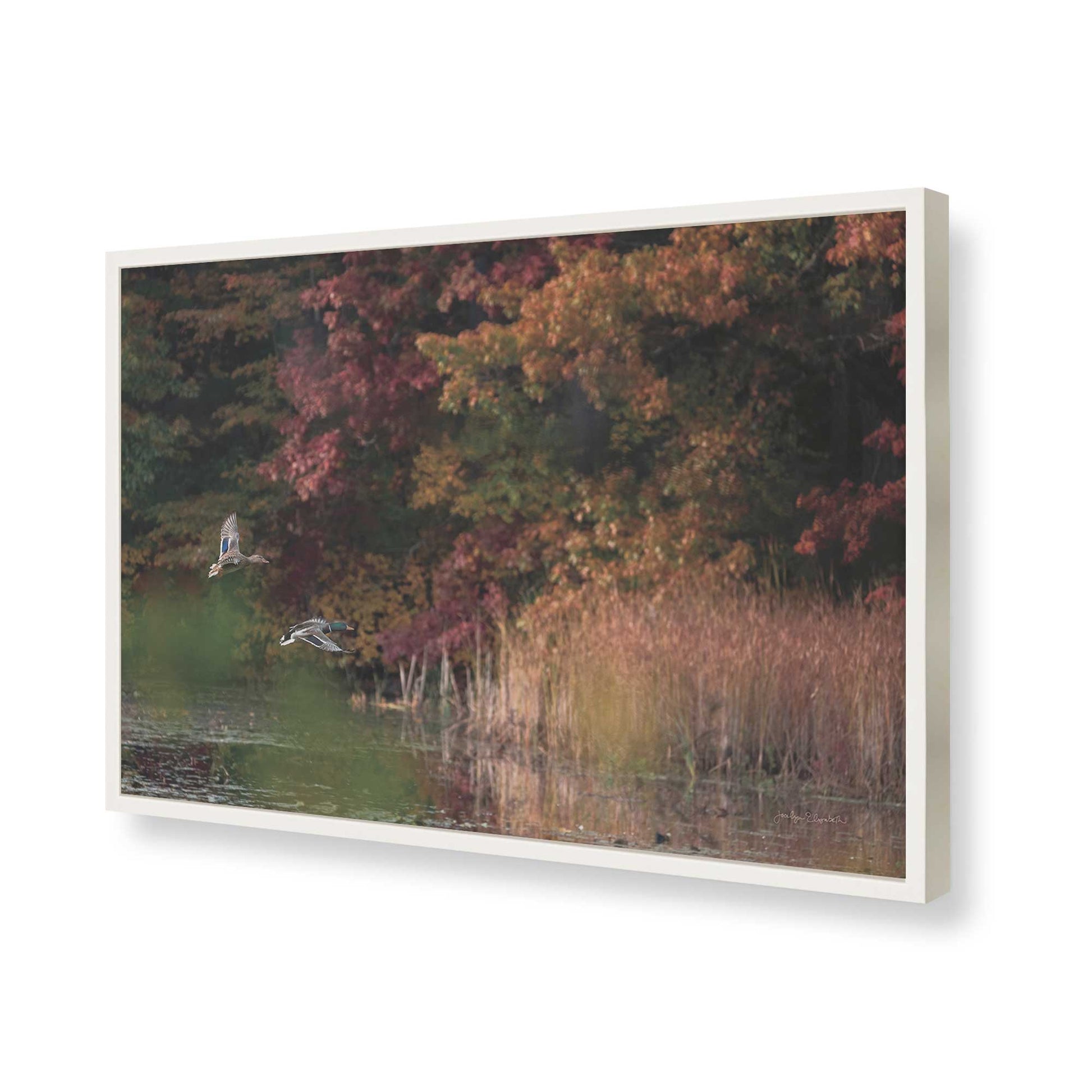 [Color:Opaque White], Picture of art in a Opaque White frame of the corner