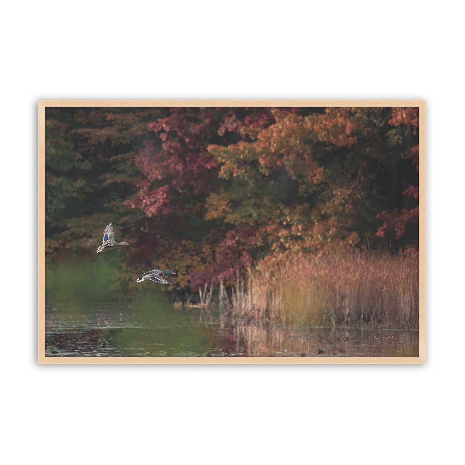 [Color:Raw Maple], Picture of art in a Raw Maple frame