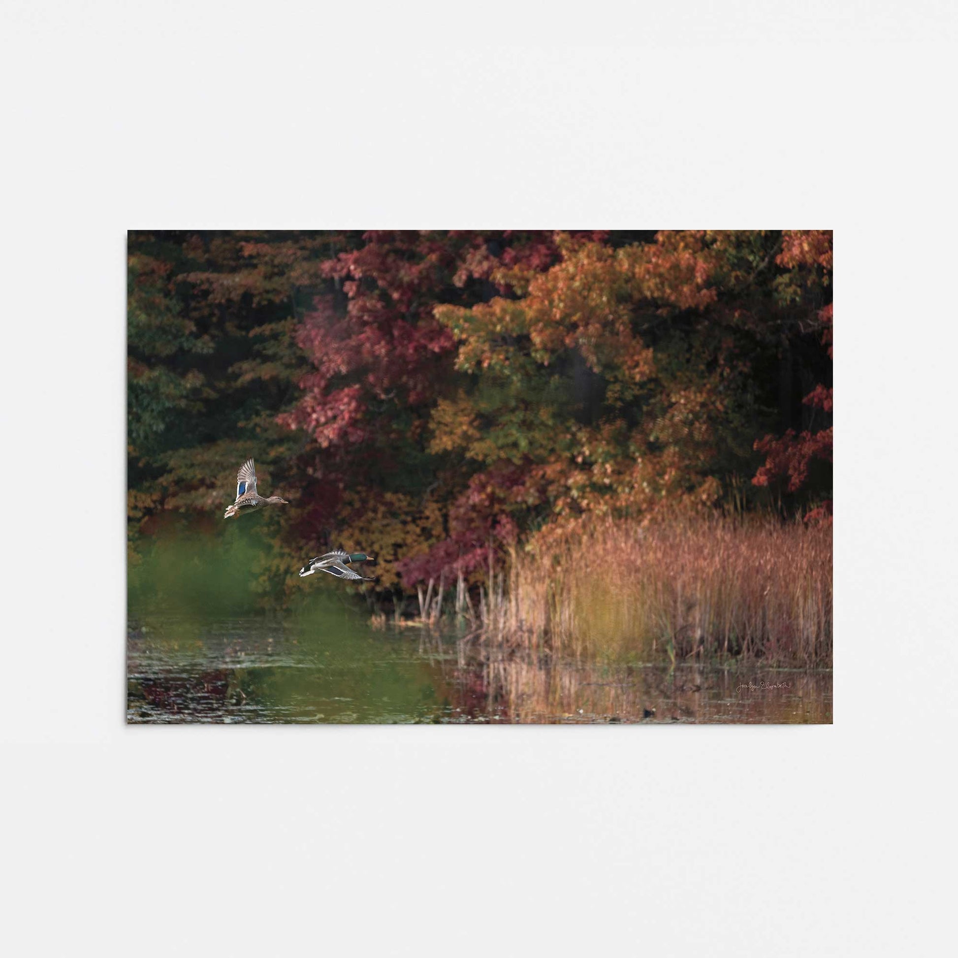 [Color:Rolled Print], Picture of close up of art