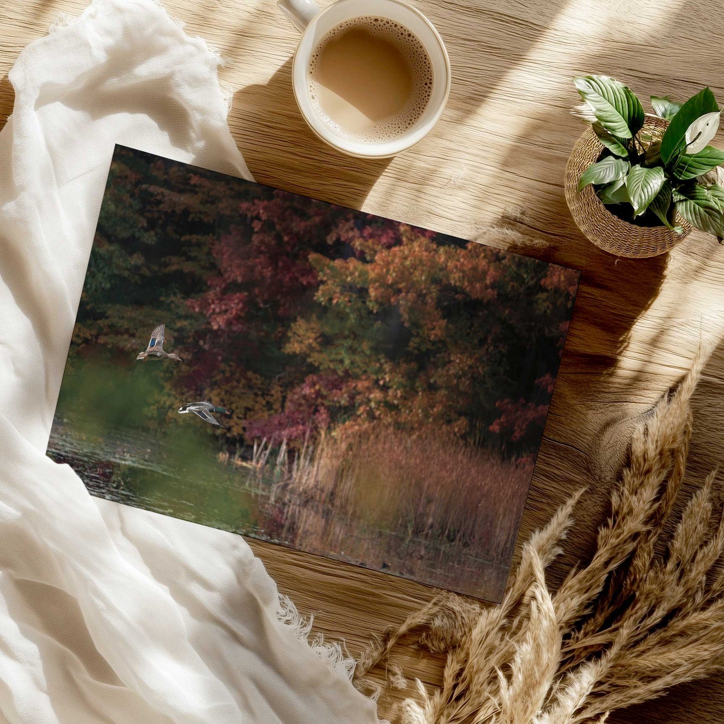 [Color:Rolled Print], Picture of close up of art