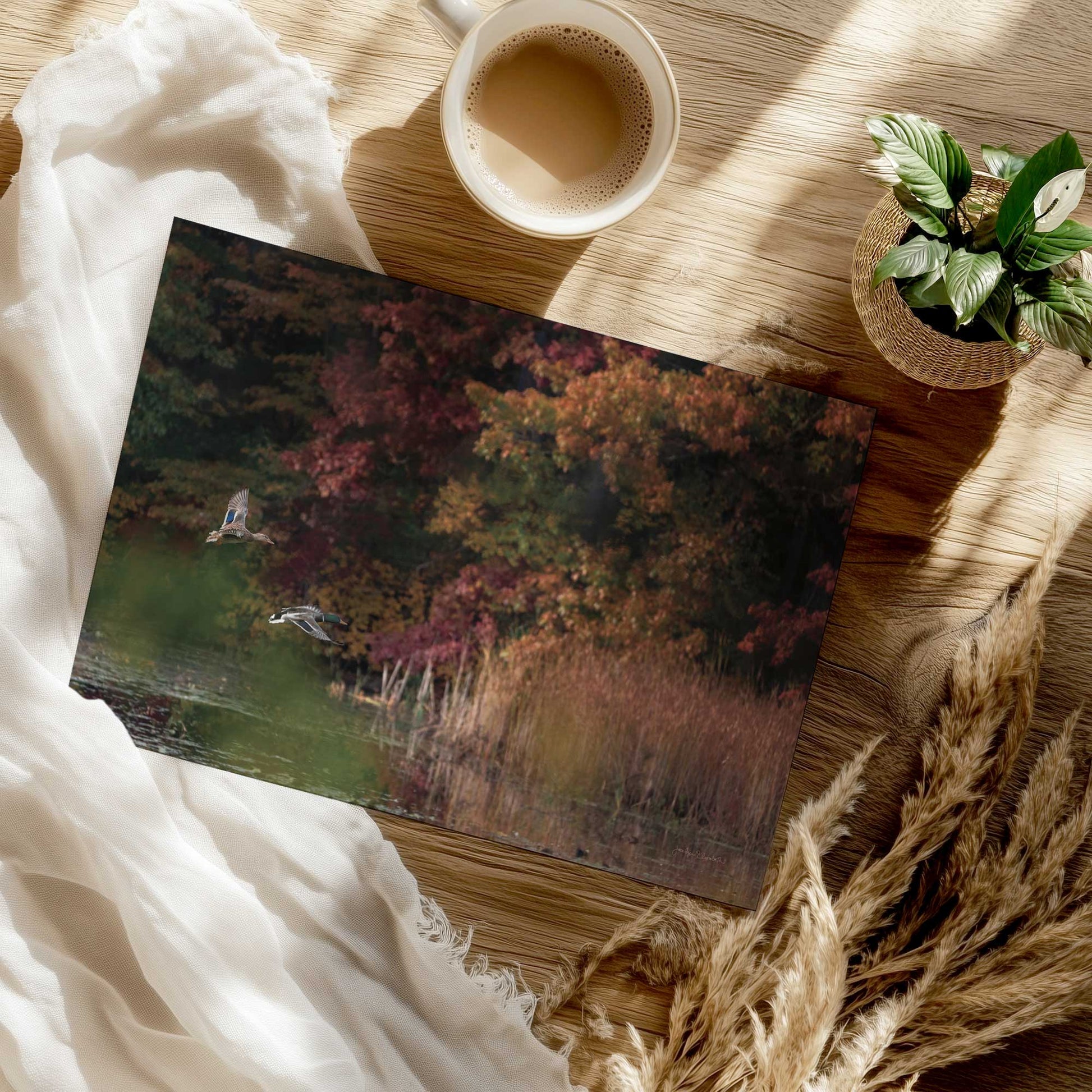 [Color:Rolled Print], Picture of close up of art