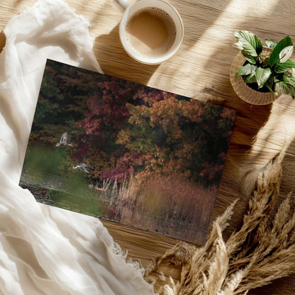 [Color:Rolled Print], Picture of close up of art