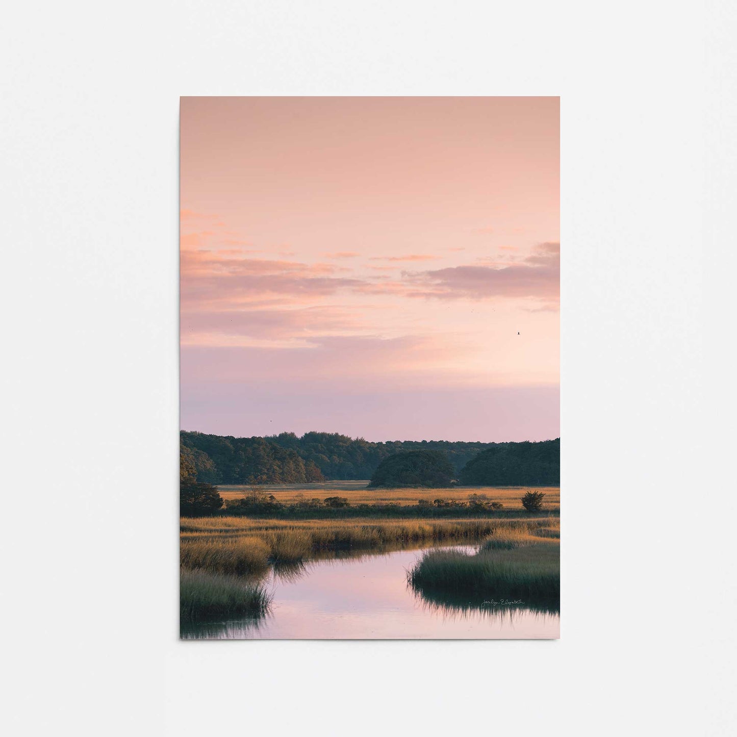 [Color:Rolled Print], Picture of close up of art