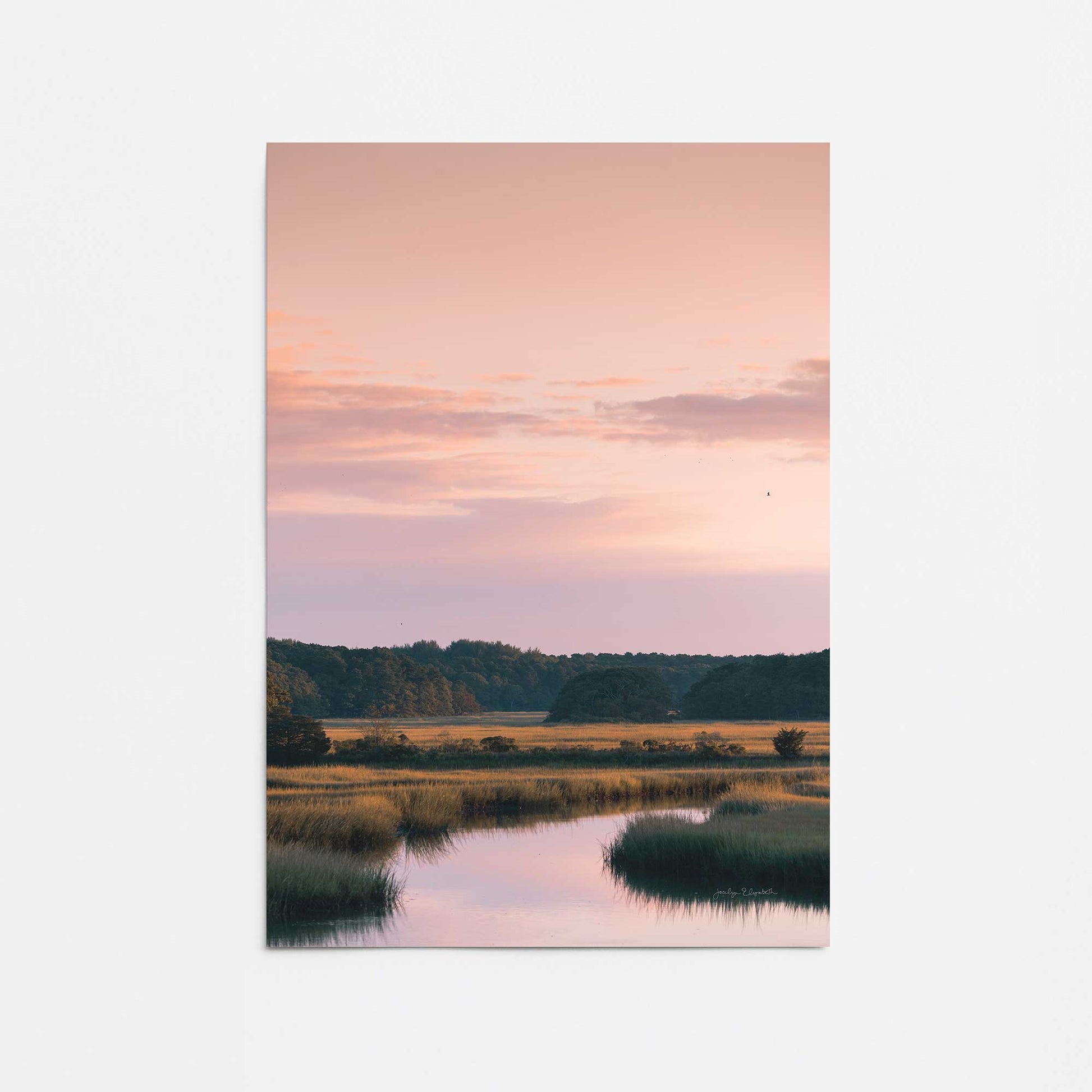 [Color:Rolled Print], Picture of close up of art