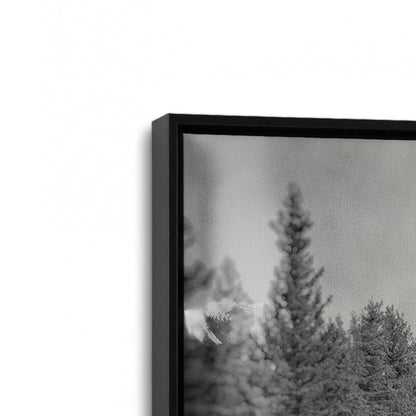 [Color:Satin Black], Picture of art in a Satin Black frame at an angle