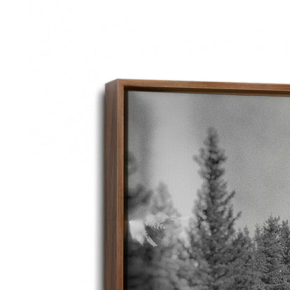 [Color:Walnut], Picture of art in a Walnut frame at an angle