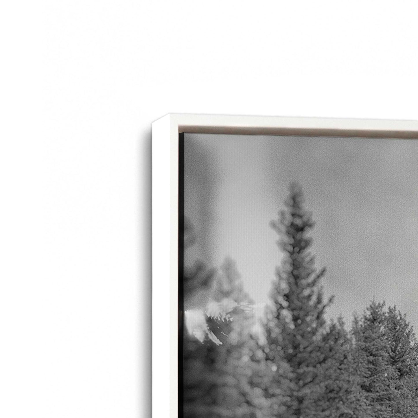 [Color:Opaque White], Picture of art in a White frame at an angle
