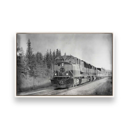 [Color:Opaque White], Picture of art in a White frame