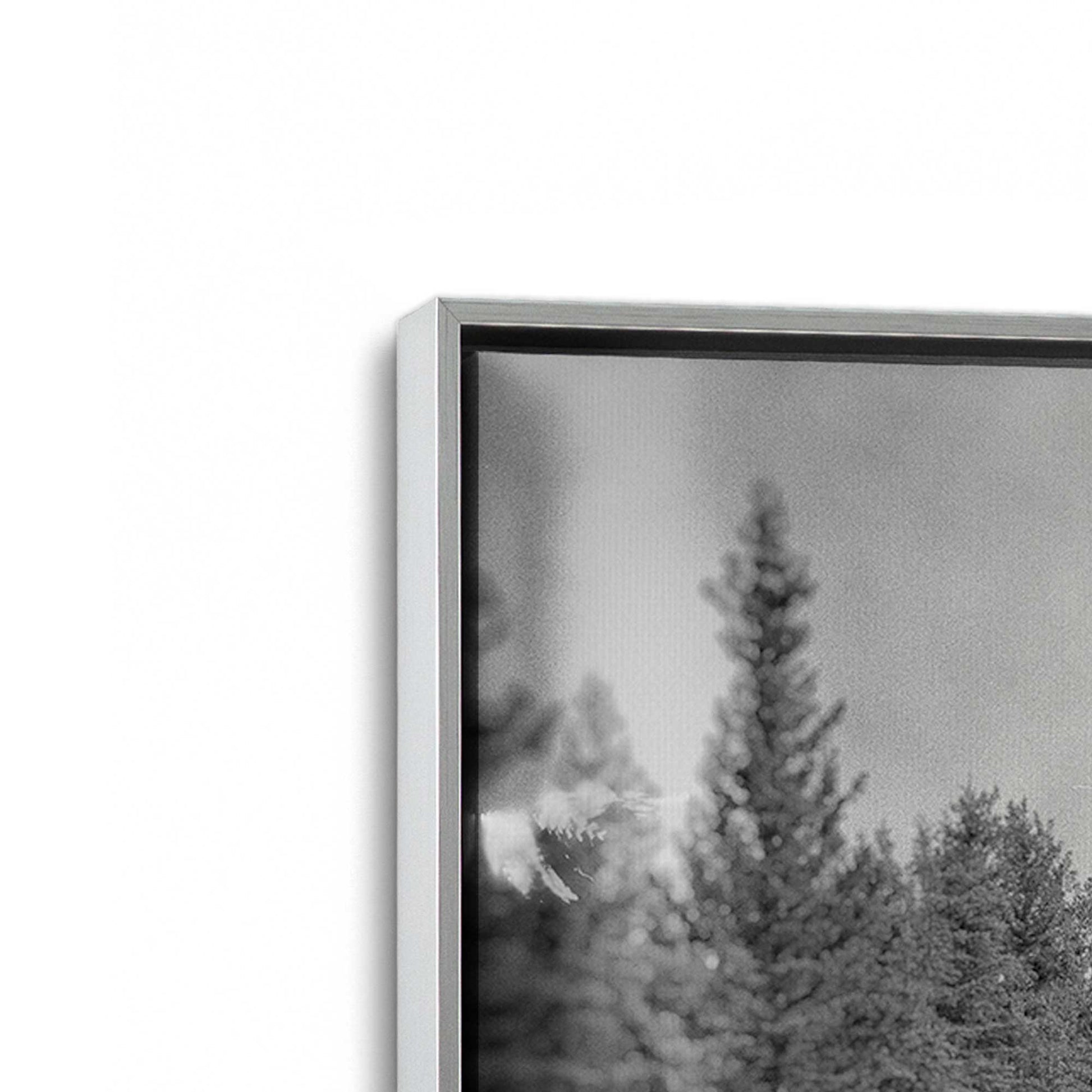 [Color:Polished Chrome], Picture of art in a Polished Chrome frame at an angle