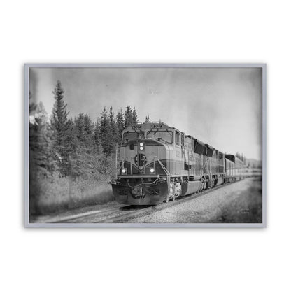 [Color:Polished Chrome], Picture of art in a Polished Chrome frame