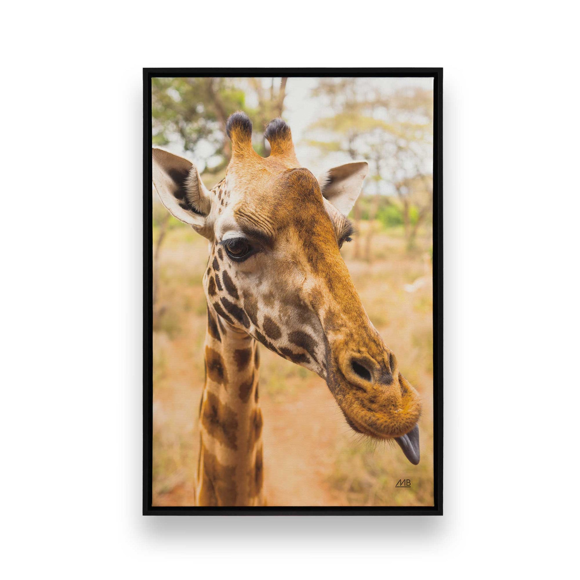 [Color:Satin Black], Picture of art in a Satin Black frame