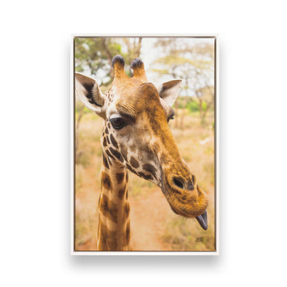 [Color:Opaque White], Picture of art in a White frame